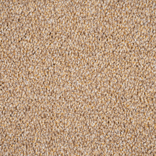 Golden Honey 35 Darius 50oz Invictus Carpet