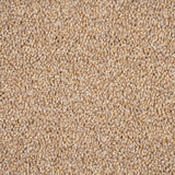 Golden Honey 35 Darius 50oz Invictus Carpet