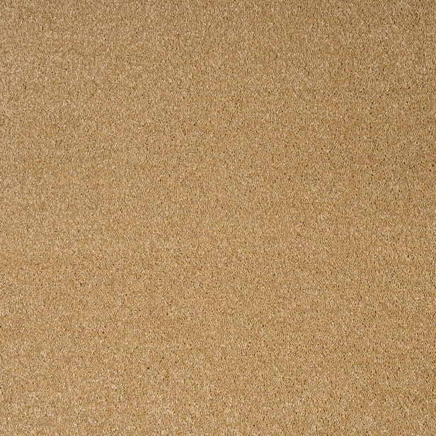 Golden Honey 54 Orion 50oz Invictus Carpet