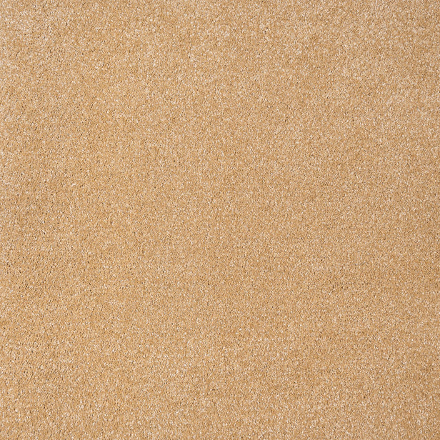 Golden Honey 54 Sirius 70oz Invictus Carpet