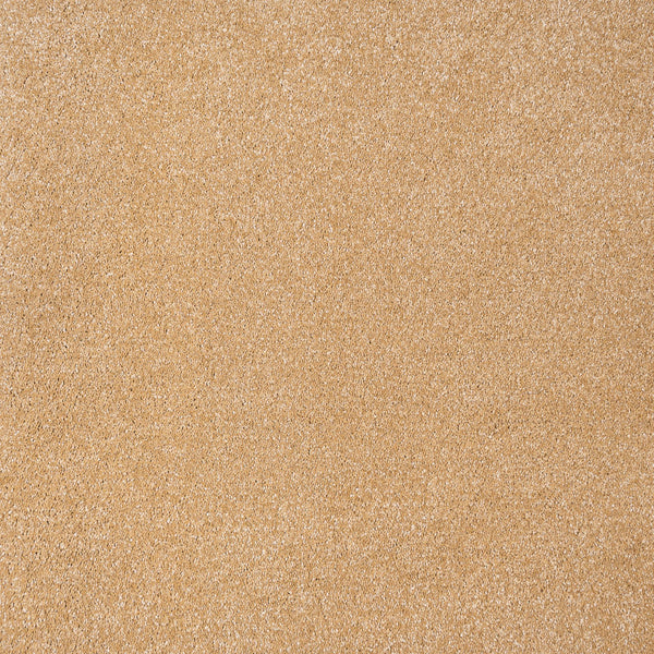 Sirius 70oz Invictus Carpet | Buy Invictus Carpets Online