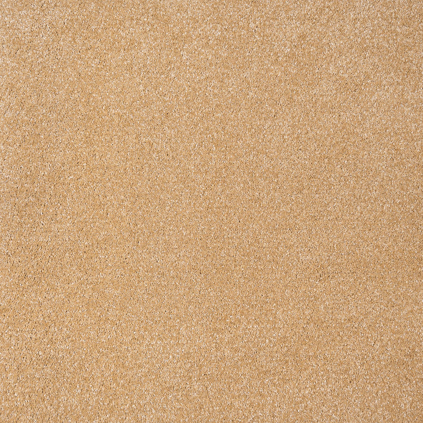 Golden Honey 54 Sirius 70oz Invictus Carpet 2.4m x 5m Remnant