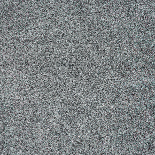 Splendid Heathers Saxony Actionback Carpet Clearance | Online Carpets