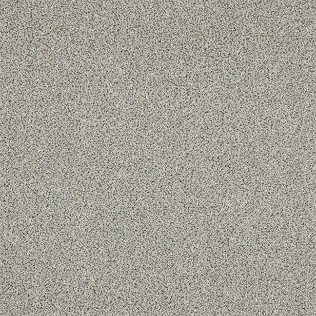 Stainfree Knightsbridge Berber Carpet by Abingdon