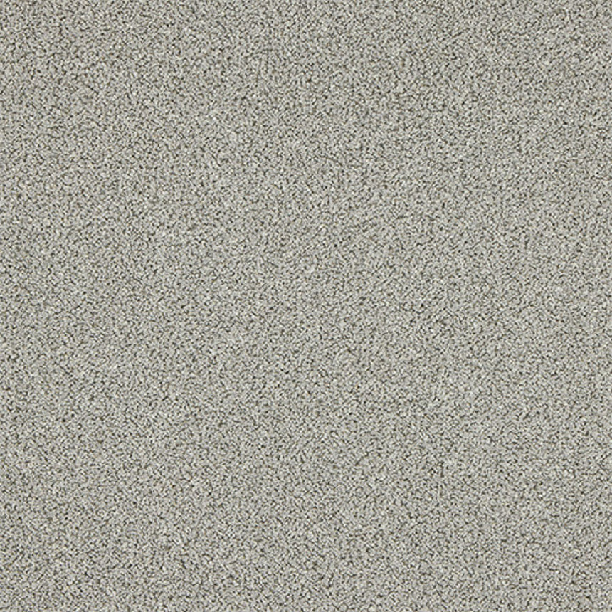 Stainfree Knightsbridge Berber Carpet by Abingdon