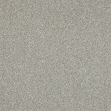 Stainfree Knightsbridge Berber Carpet by Abingdon