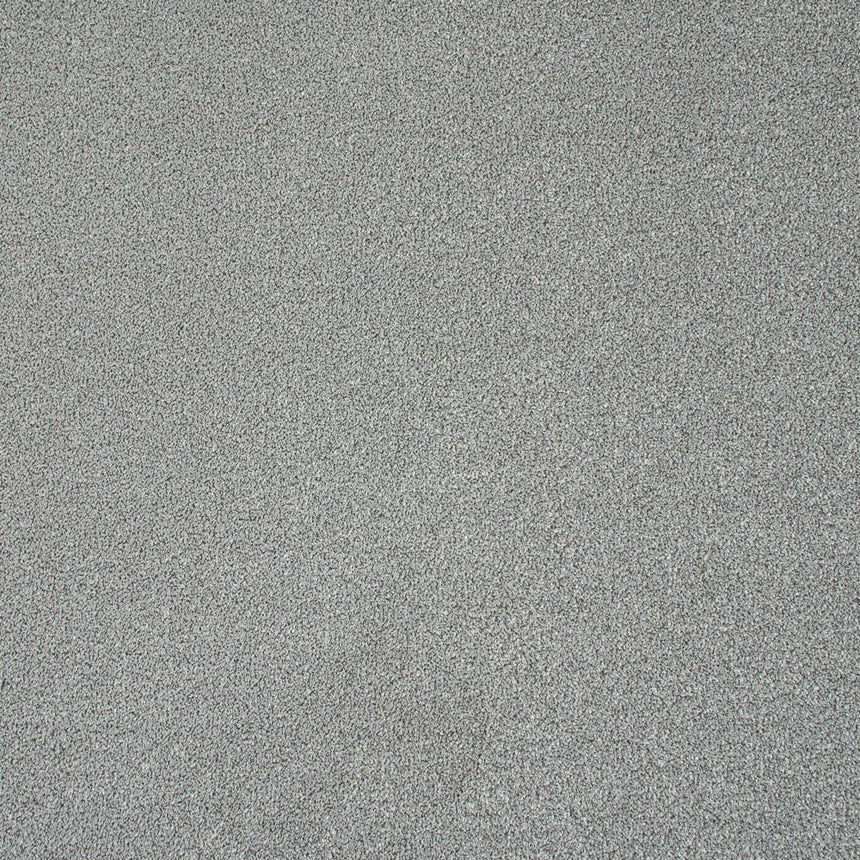 Granite Mist Stainfree Knightsbridge Berber Carpet by Abingdon