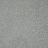 Granite Mist Stainfree Knightsbridge Berber Carpet by Abingdon