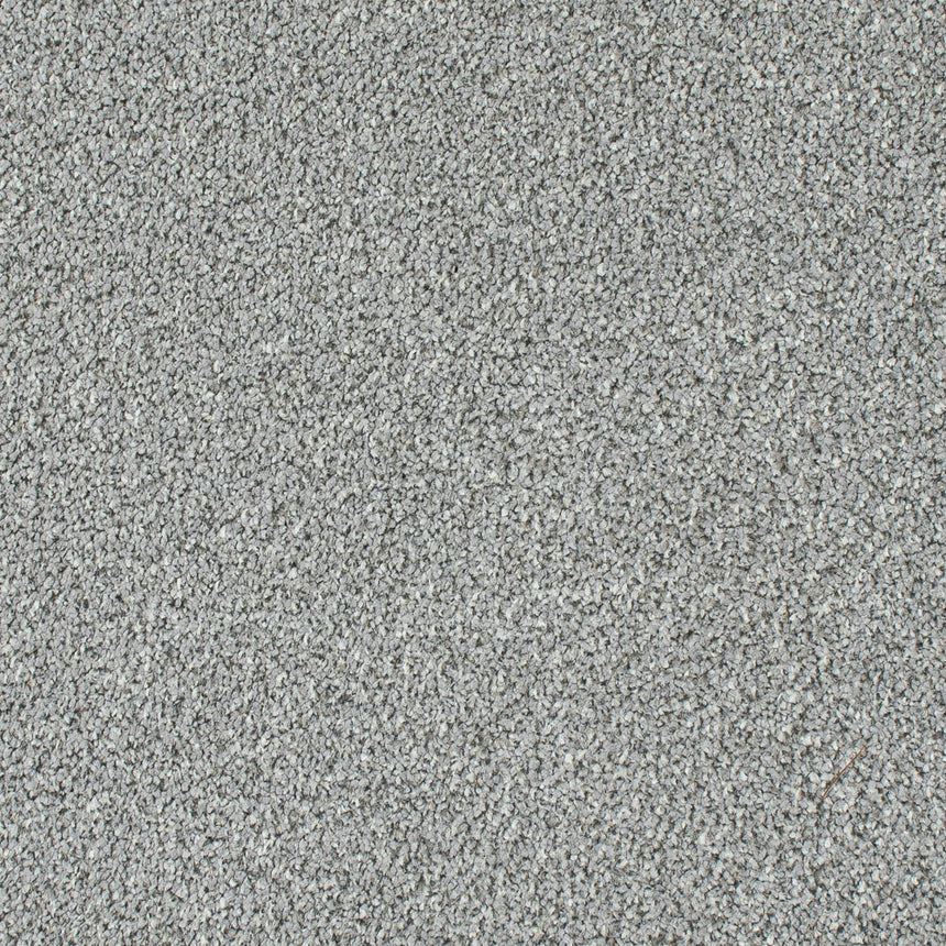 Granite Mist Stainfree Knightsbridge Berber Carpet by Abingdon