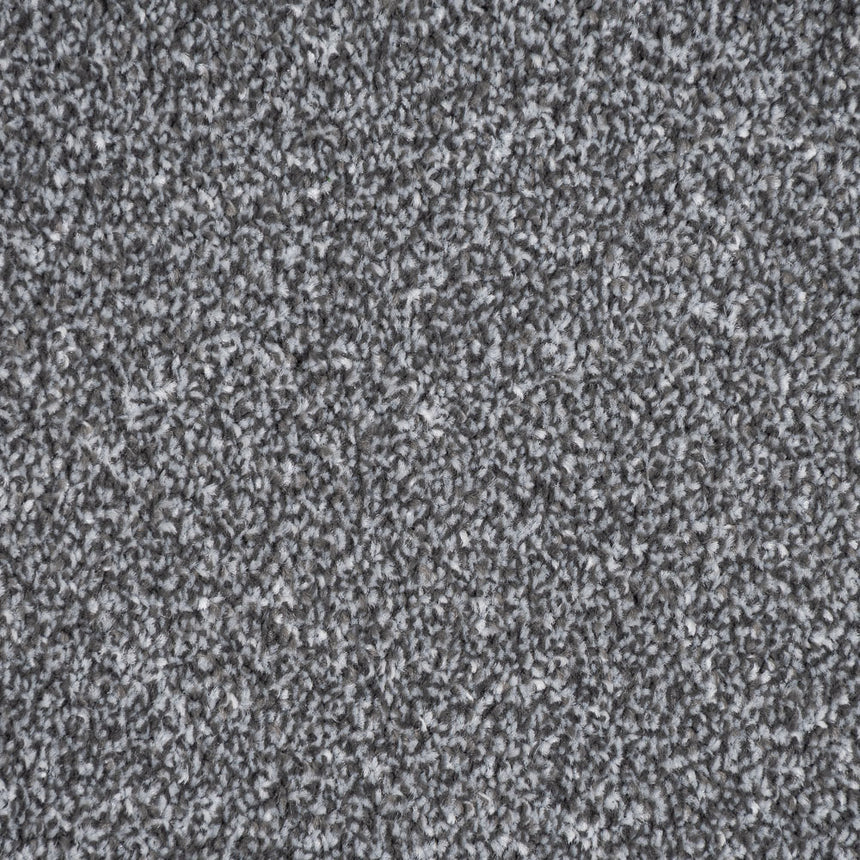 Graphite Grey 77 Auckland Twist Carpet