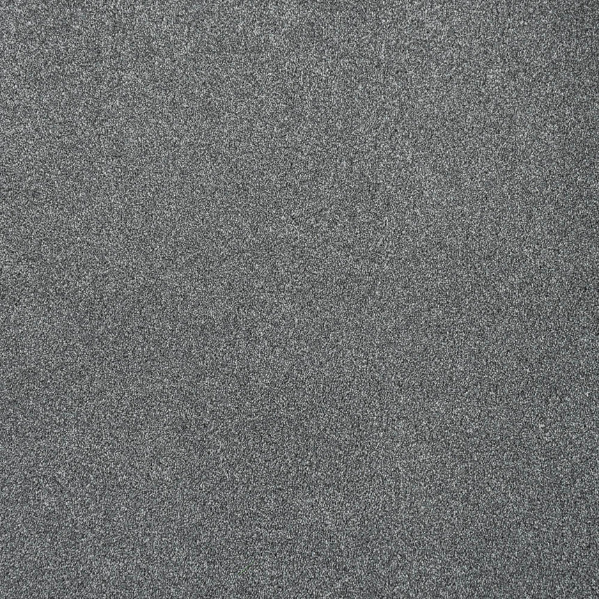 Graphite Grey Dunham Saxony Carpet