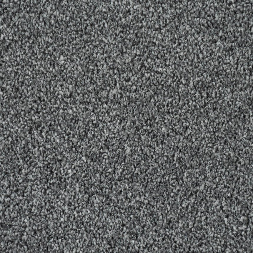 Graphite Grey Dunham Saxony Carpet