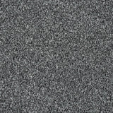 Graphite Grey Dunham Saxony Carpet