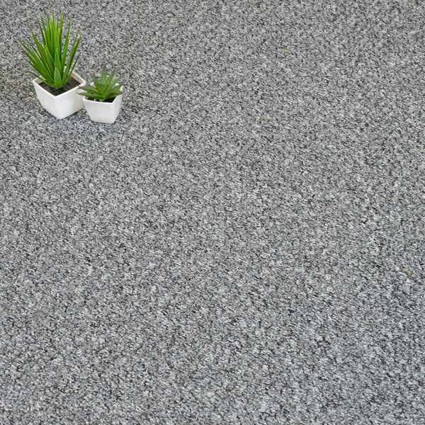 Grey Alabama Loop Carpet