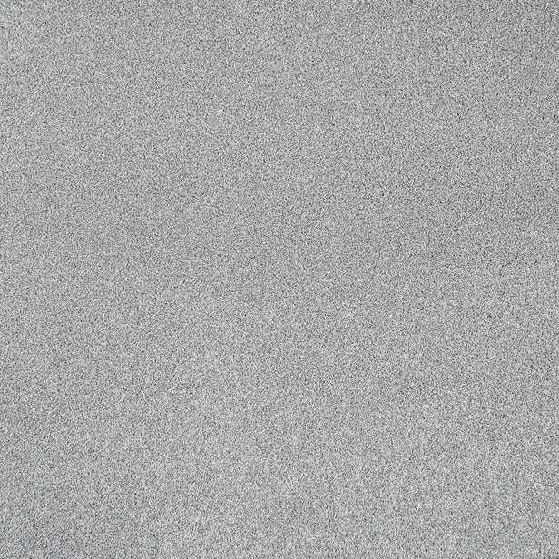 Greystone 16 Stainfree Rustique Saxony Carpet by Abingdon