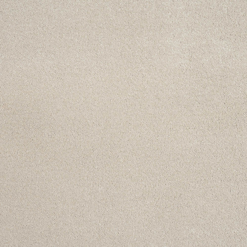 Hammock 33 Taurus Invictus Carpet