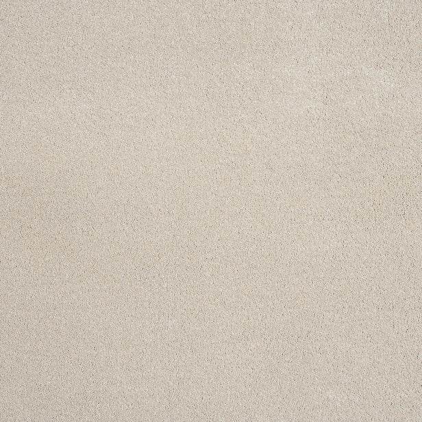 Hammock 33 Taurus Invictus Carpet