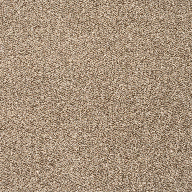 Harvest 14 Stainfree Tweed Carpet by Abingdon