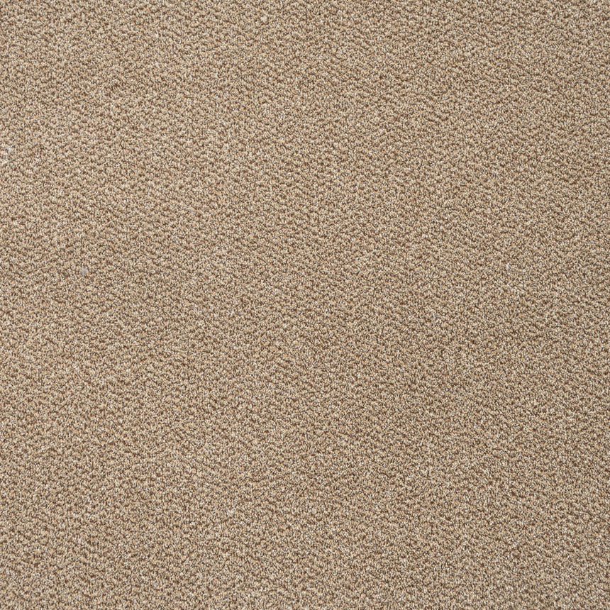 Harvest 14 Stainfree Tweed Carpet by Abingdon