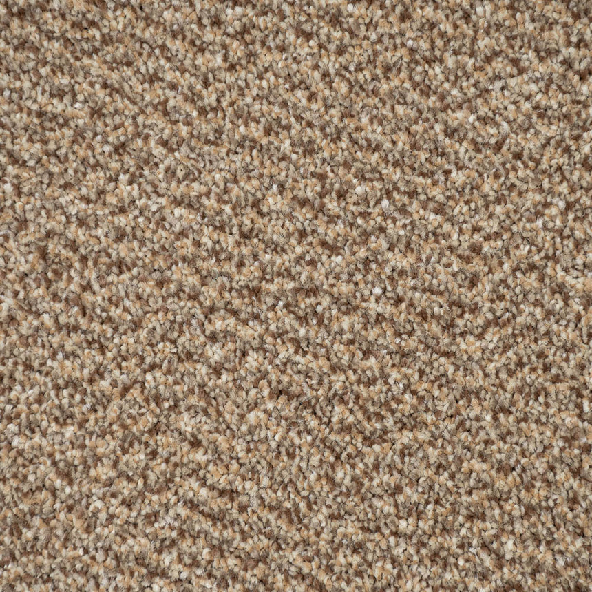 Harvest 14 Stainfree Tweed Carpet by Abingdon