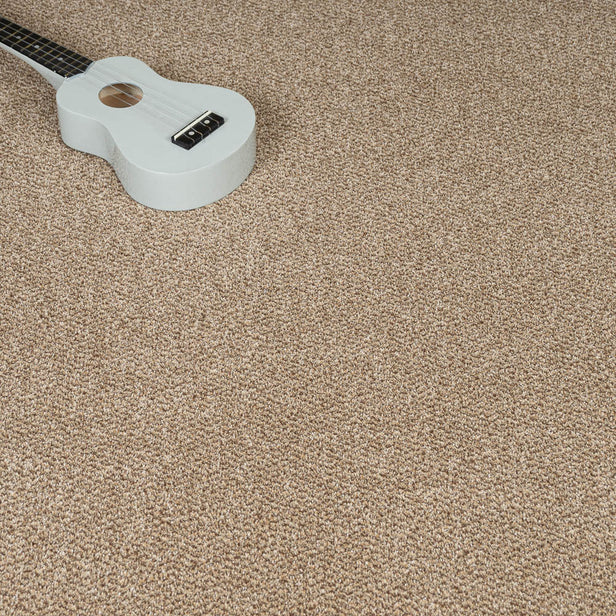 Harvest 14 Stainfree Tweed Carpet by Abingdon