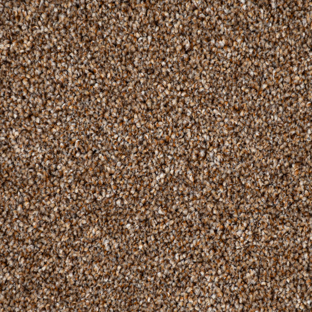 Harvest Festival 03 Stainfree Rustique Saxony Carpet | Online Carpets