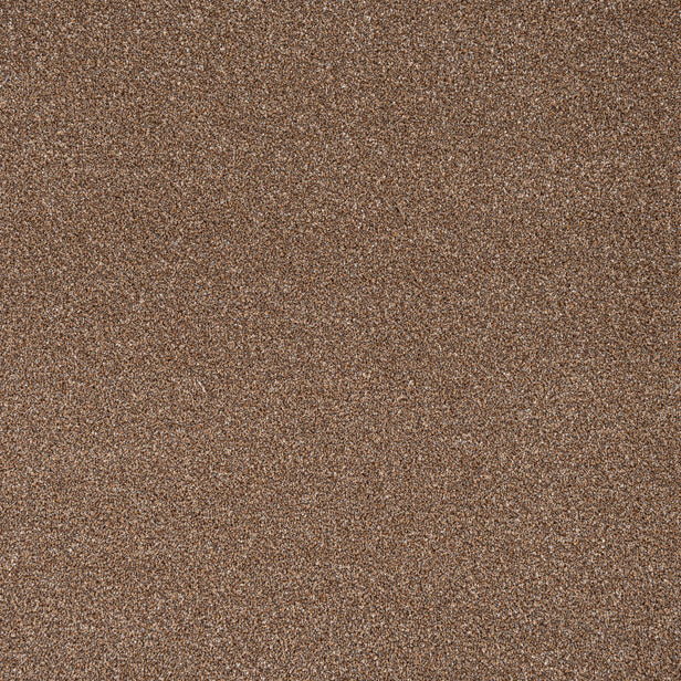 Harvest Festival Stainfree Rustique Ultra Carpet by Abingdon