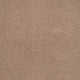 Hickory Pembroke Twist Carpet