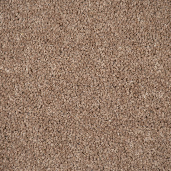 Hickory Pembroke Twist Carpet