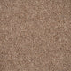 Hickory Pembroke Twist Carpet