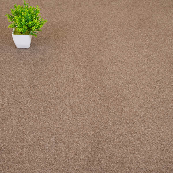 Hickory Pembroke Twist Carpet