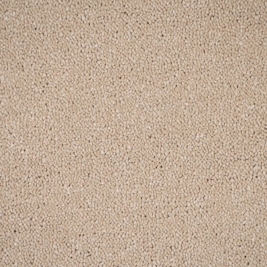 Honey Beige 90 Bellevue Saxony Carpet