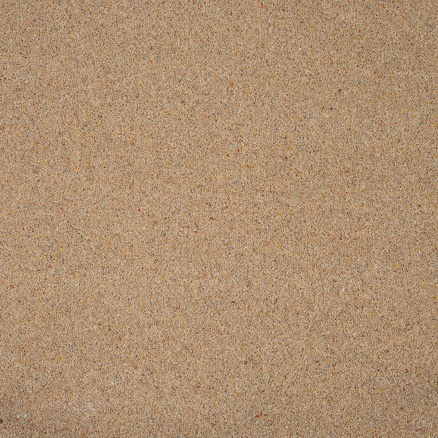 Wilton Royal Charter Berber Deluxe Carpet by Abingdon
