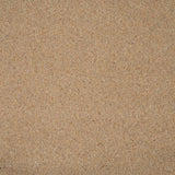 Wilton Royal Charter Berber Deluxe Carpet by Abingdon