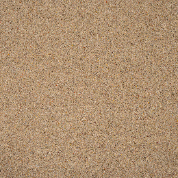Honey Gold Royal Windsor Charter Berber Deluxe Carpet by Abingdon