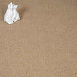 Honey Gold Wilton Royal Charter Berber Deluxe Carpet by Abingdon
