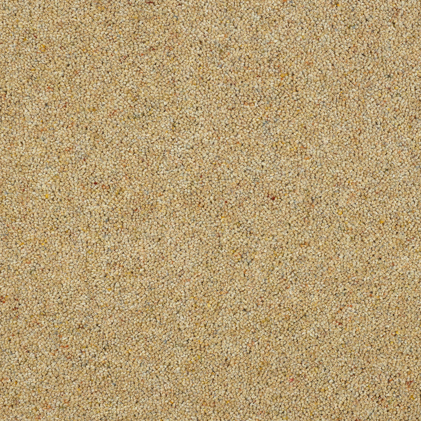 Royal Windsor Charter Berber Deluxe Carpet by Abingdon