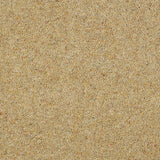 Royal Windsor Charter Berber Deluxe Carpet by Abingdon