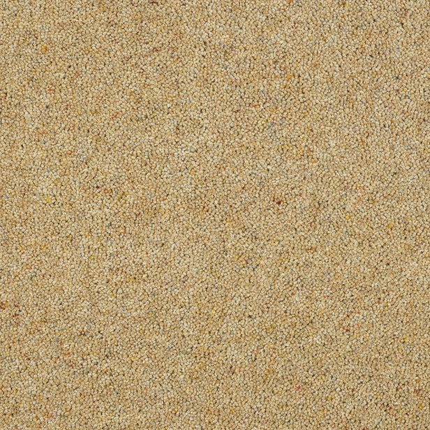 Honey Gold Royal Windsor Charter Berber Deluxe Carpet by Abingdon