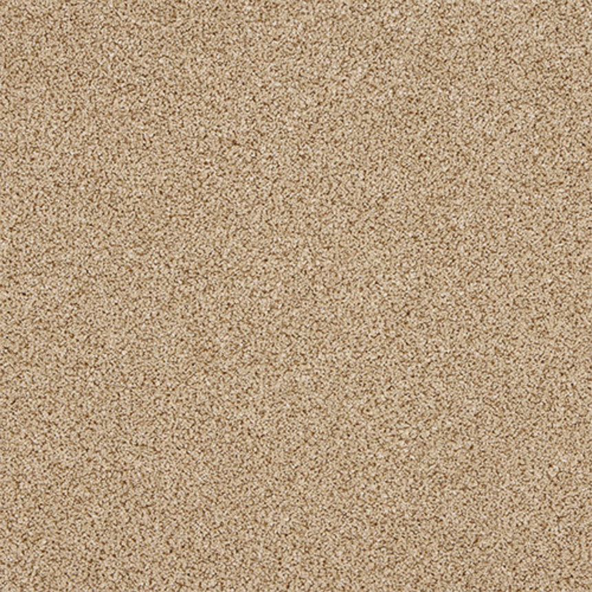 Stainfree Knightsbridge Berber Carpet by Abingdon