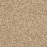Stainfree Knightsbridge Berber Carpet by Abingdon