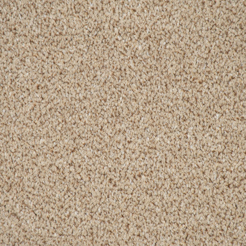 Honeycomb Twist Stainfree Knightsbridge Berber Carpet by Abingdon