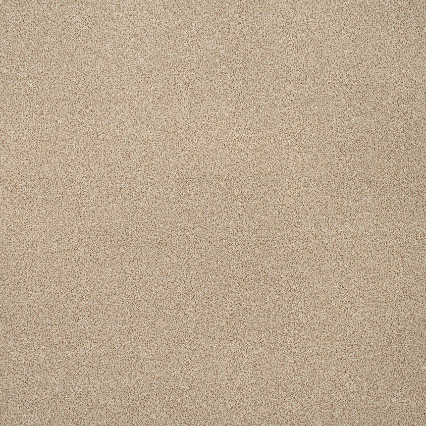 Honeycomb Twist Stainfree Knightsbridge Berber Carpet by Abingdon