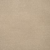 Honeycomb Twist Stainfree Knightsbridge Berber Carpet by Abingdon