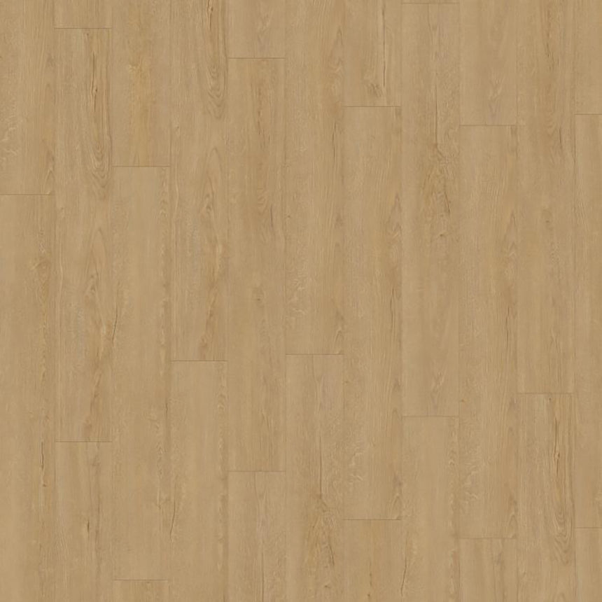 Horizon Oak Nature D41192 Exquisit 8mm Laminate Flooring by Kronotex