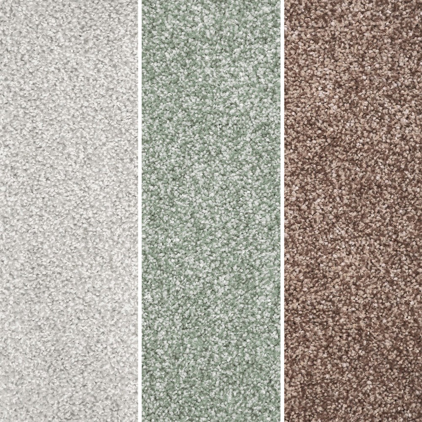 Ignis Carpet Clearance