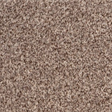 Terra Heathers Twist Actionback Carpet by Associated Weavers Clearance