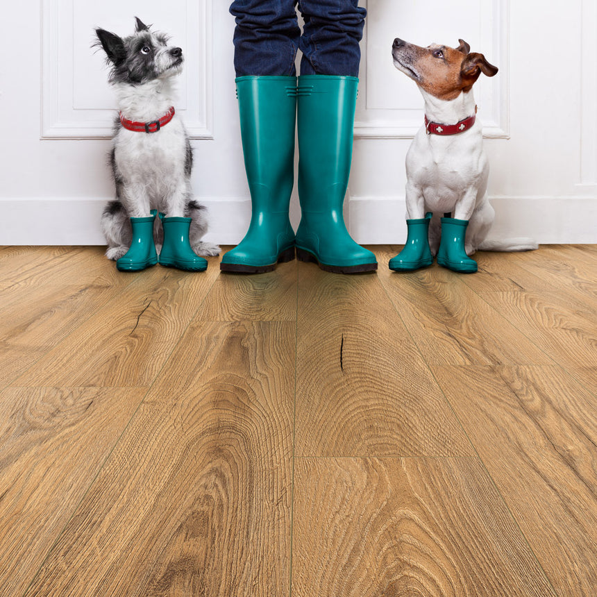 Inca Carpenter Oak K476 Atlantic 10mm Laminate Flooring by Krono Original