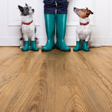 Inca Carpenter Oak K476 Atlantic 10mm Laminate Flooring by Krono Original