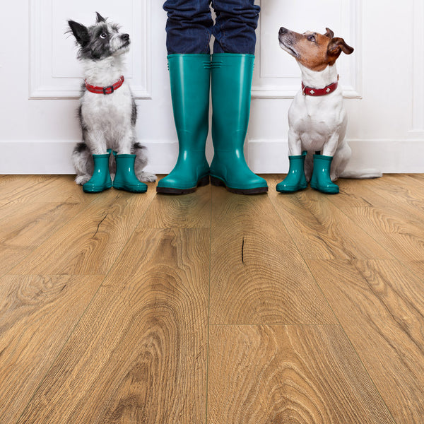 Inca Carpenter Oak K476 Atlantic 10mm Laminate | Online Carpets